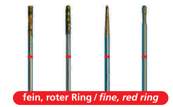 DFS SIDIA FG Sintered Diamond Fine Coarse Grit 1.6mm