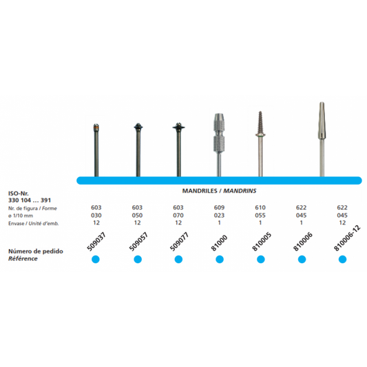 DFS Mandrel for Polishers Medium Coarse Grit 2.3mm