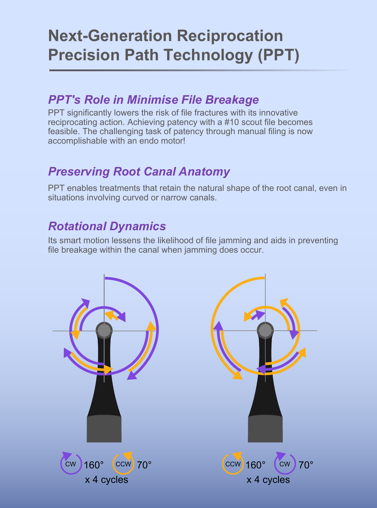 Xpedent Endo Motor Motosync Pro